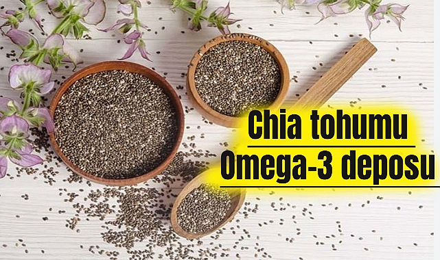 Chia tohumu Omega-3 deposu