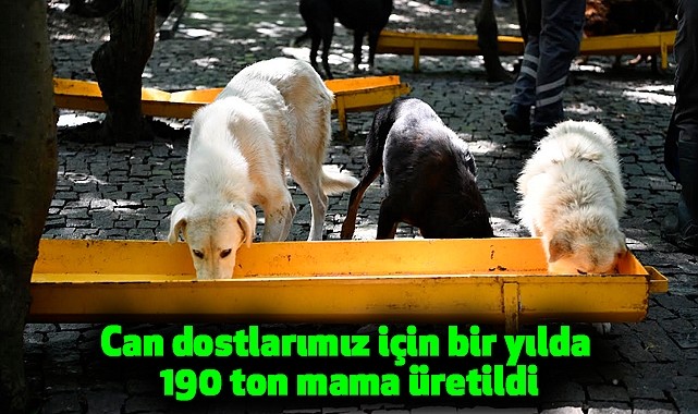 Can dostlarımız için bir yılda 190 ton mama üretildi