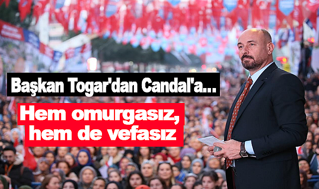 BaşkanTogar: Hem omurgasız, hem de vefasız
