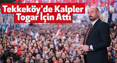 Tekkeköy'de Kalpler Togar İçin Attı