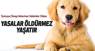 Samsun Sinop Veteriner Hekimler Odası :Yasalar Öldürmez, Yaşatır
