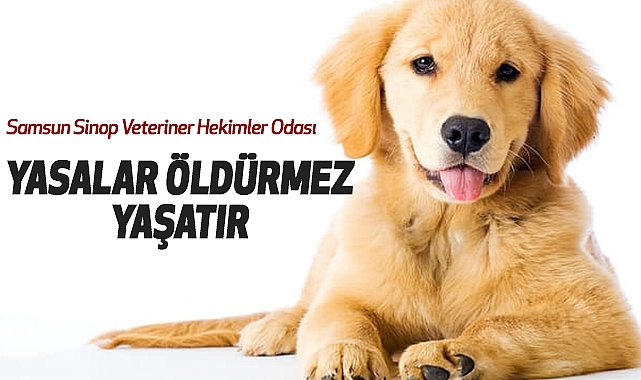 Samsun Sinop Veteriner Hekimler Odası :Yasalar Öldürmez, Yaşatır