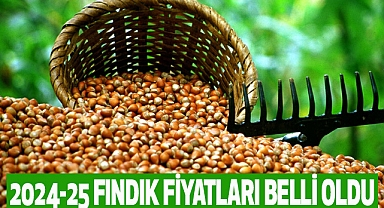 2024-25 Fındık Fiyatları Belli oldu