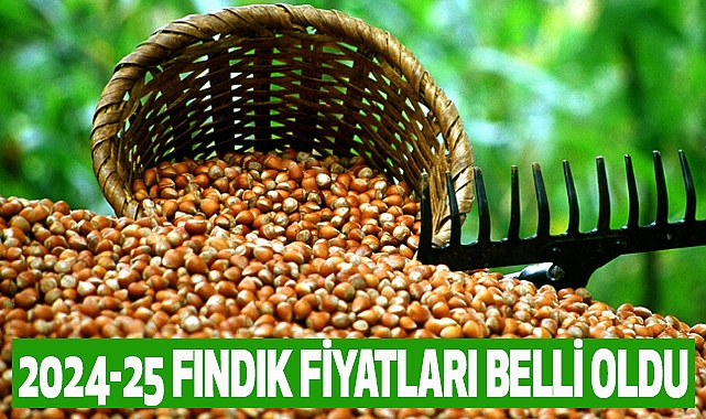 2024-25 Fındık Fiyatları Belli oldu