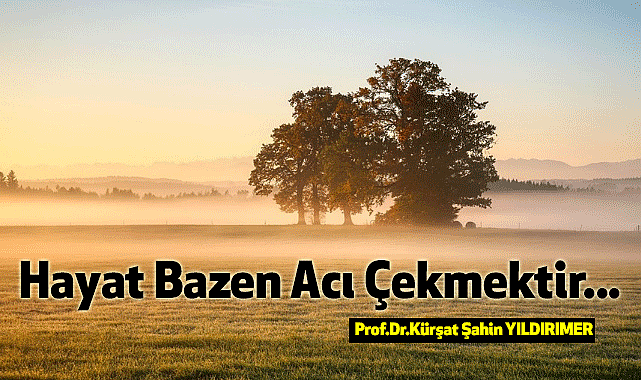 Hayat Bazen Acı Çekmektir