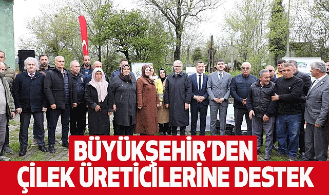 Büyükşehir’den Çilek Üreticilerine Destek