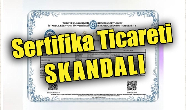 Sertifika Ticareti Skandalı: Sahte Eğitimle Ruh Sağlığı Tehlikede