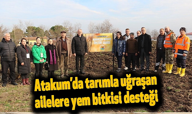 Atakum’da tarımla uğraşan ailelere yem bitkisi desteği