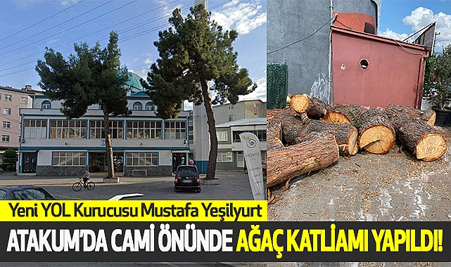 Atakum’da cami önünde ağaç katliamı yapıldı!