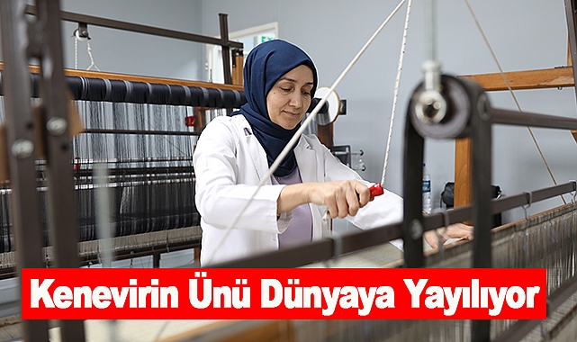 Kenevirin Ünü Dünyaya Yayılıyor