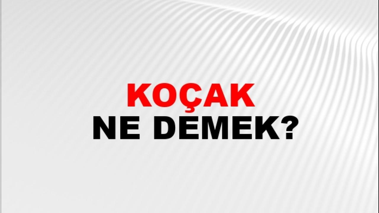 Otomatik Taslak
