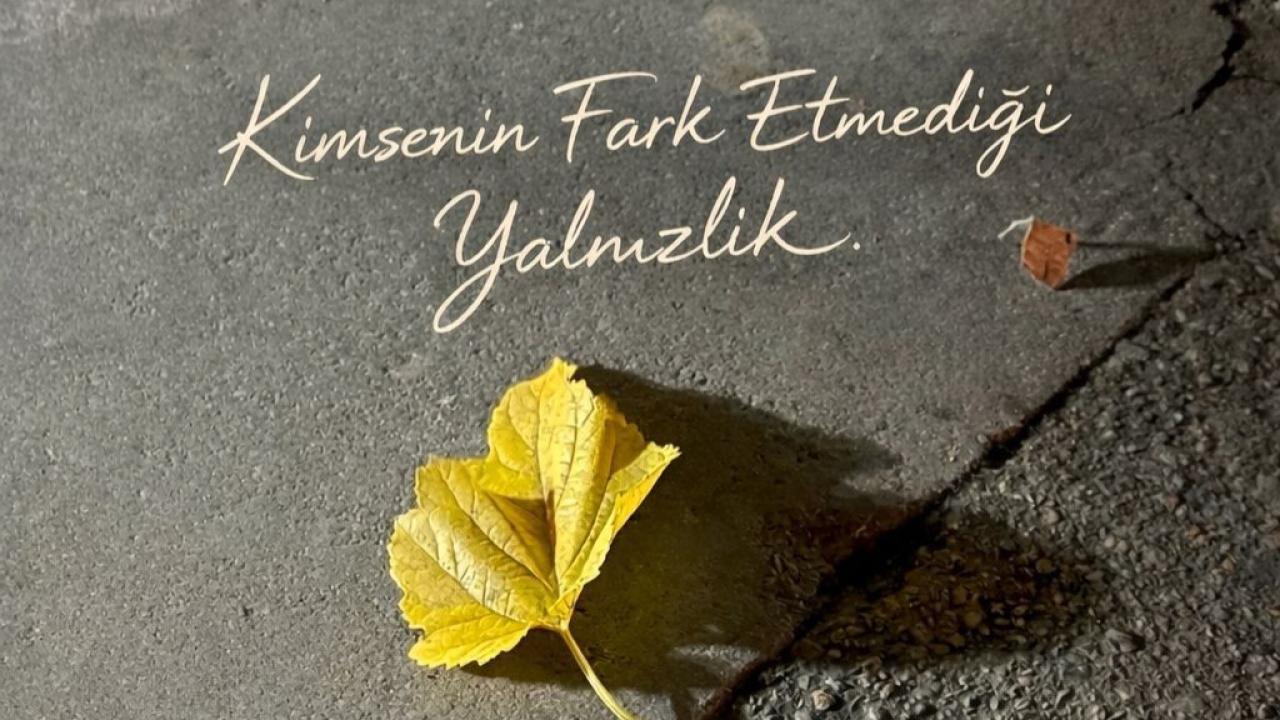 Otomatik Taslak