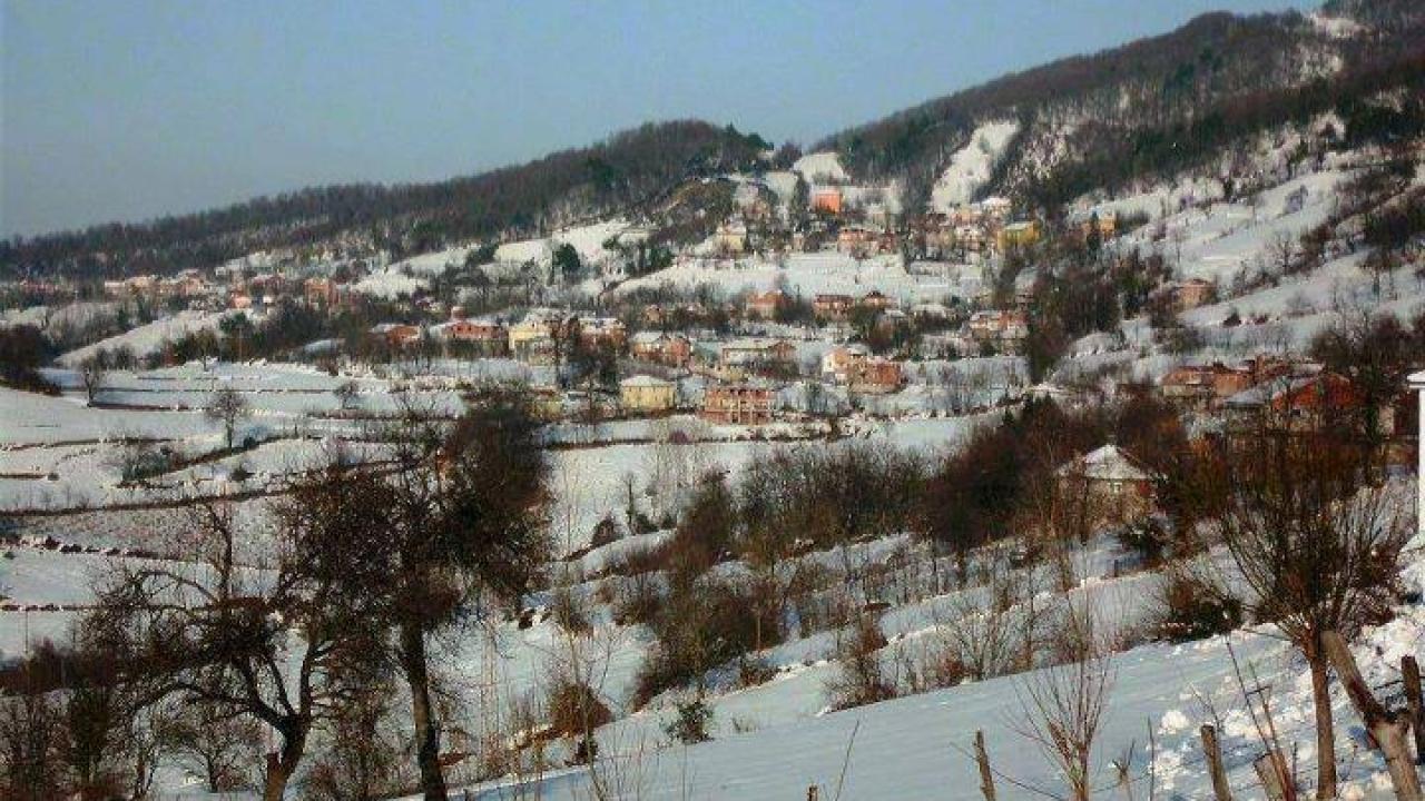 Otomatik Taslak