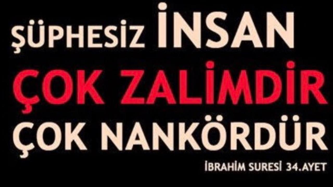 Otomatik Taslak