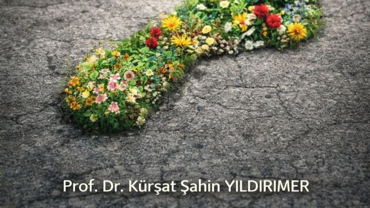 Otomatik Taslak