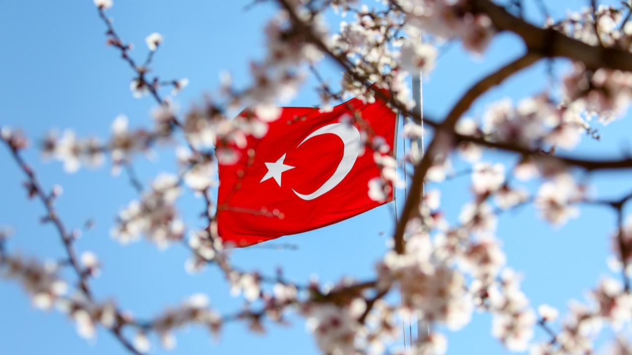 Otomatik Taslak